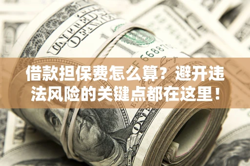 济南借款担保费怎么算？避开违法风险的关键点都在这里！