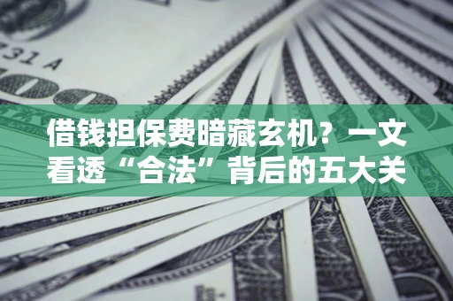 济南借钱担保费暗藏玄机？一文看透“合法”背后的五大关键陷阱