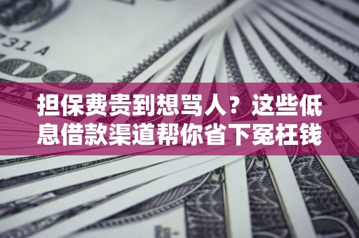 济南担保费贵到想骂人？这些低息借款渠道帮你省下冤枉钱