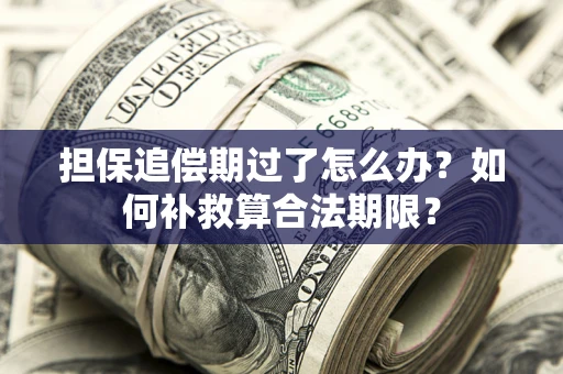 济南担保追偿期过了怎么办？如何补救算合法期限？
