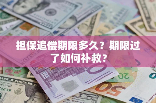 济南担保追偿期限多久？期限过了如何补救？